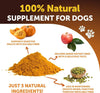 Artullano Advanced Pumpkin Powder for Dogs, 8 oz