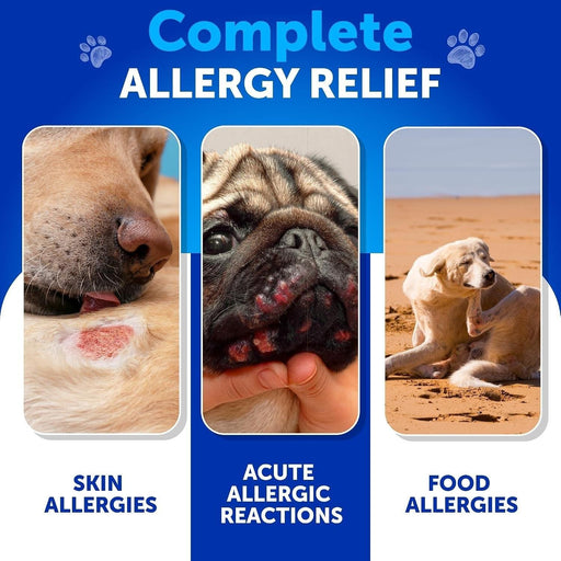 Artullano Skin & Coat Support Soft Chews for Dogs, Duck Flavor, 120 Count