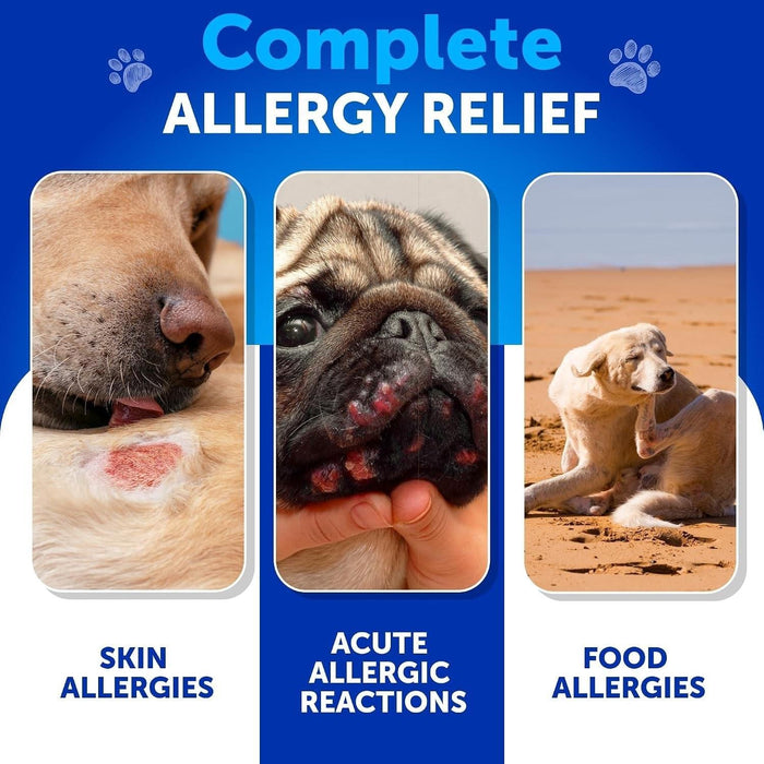 Artullano Skin & Coat Support Soft Chews for Dogs, Duck Flavor, 120 Count