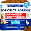 Artullano Advanced Probiotics for Dogs, Duck Flavor, 120 Soft Chews