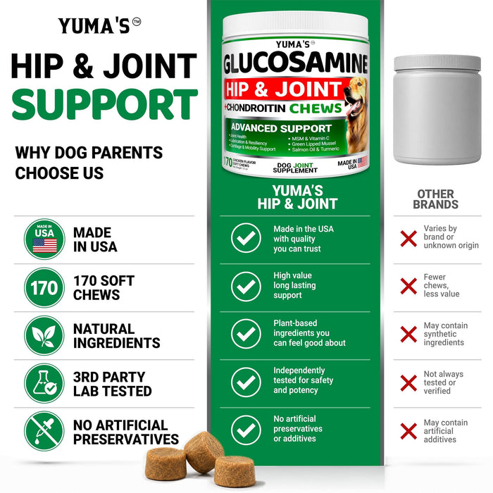YUMA'S Glucosamine Hip & Joint Soft Chews for Dogs, Chicken Flavor, 2-Pack, 340 Count
