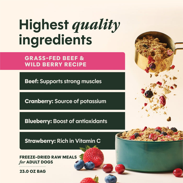 Instinct FreshDried Meal Blends Beef & Wild Berries Blend dog  product benefits and recipe information