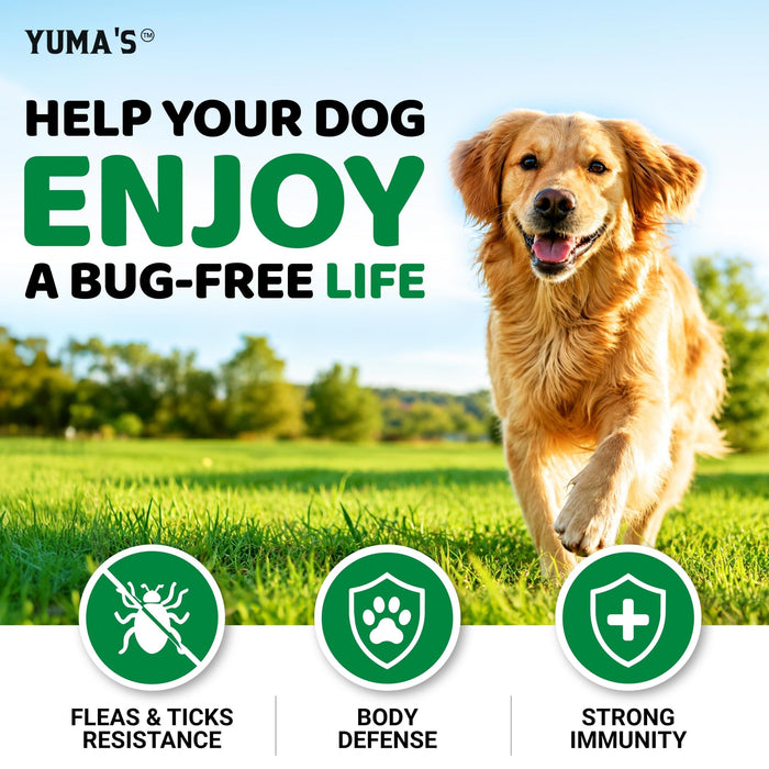 YUMA'S Flea & Tick Soft Chews for Dogs, 2-Pack, 340 Count