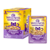 Wellness Appetizing Entrees  Shredded Chicken & Salmon Recipe in Sauce — 1.4-oz, case of 24; Case of 24 × 1.4-oz containers