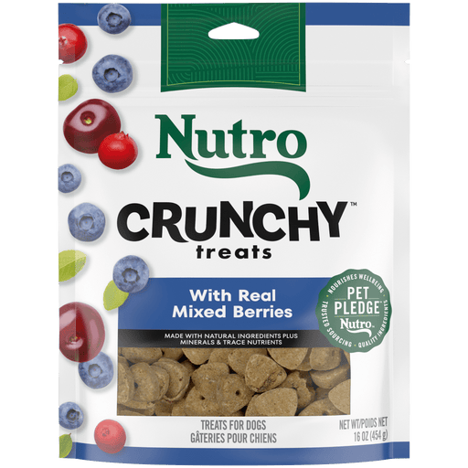 NUTRO Crunchy Treats with Real Mixed Berries Dog Treats, 16 oz package front