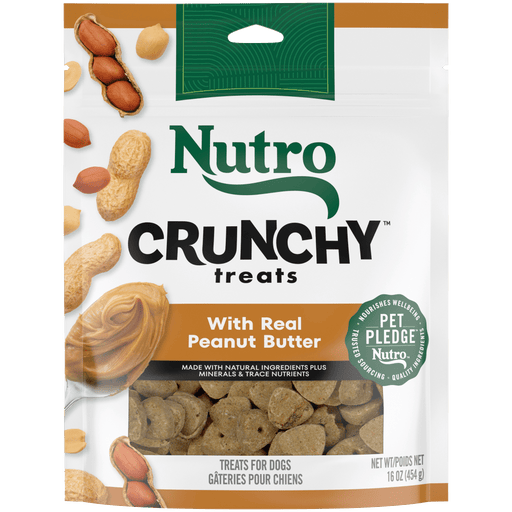 NUTRO Crunchy Treats with Real Peanut Butter Dog Treats, 16 oz package front