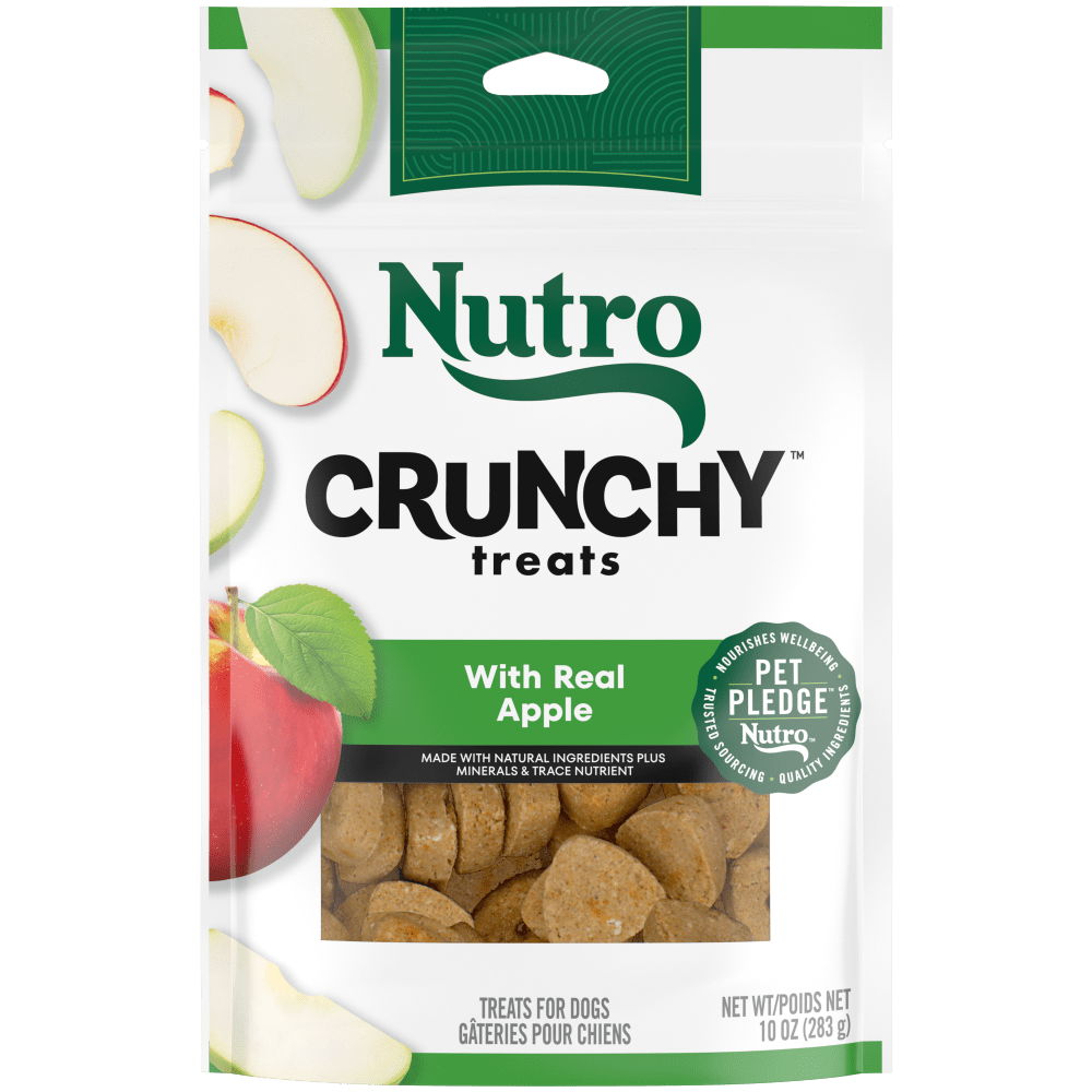 NUTRO Crunchy Treats with Real Apple Dog Treats, 10 oz package front