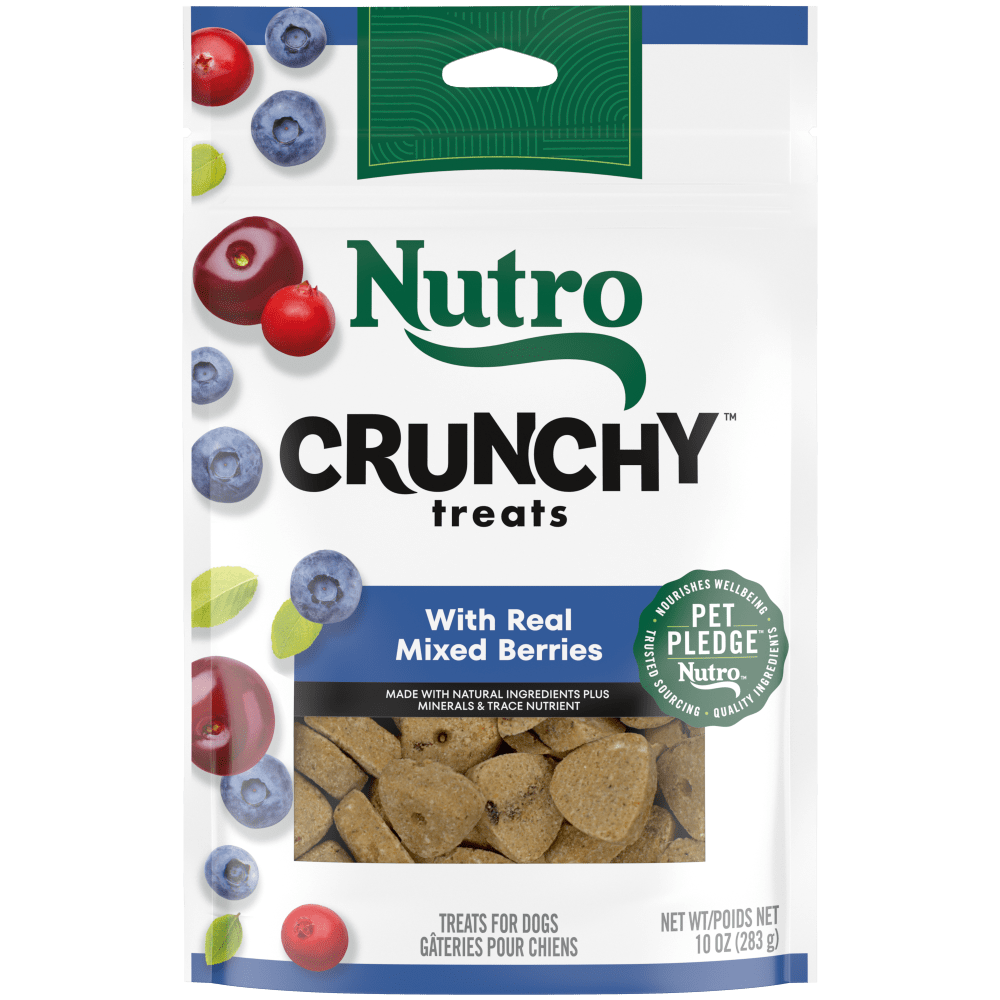 NUTRO Crunchy Treats with Real Mixed Berries Dog Treats, 10 oz package front