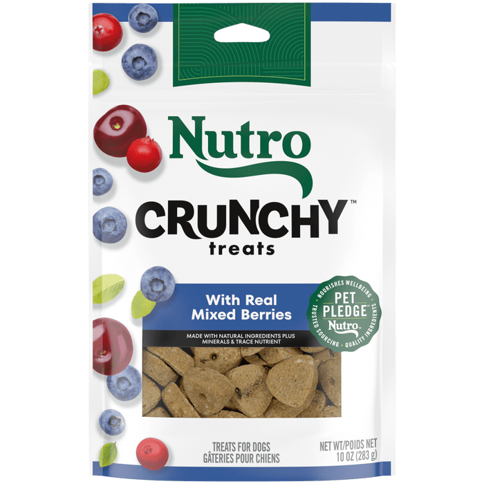 NUTRO Crunchy Treats with Real Mixed Berries Dog Treats, 10 oz package front
