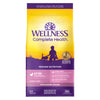 Wellness Complete Health  Kitten Deboned Chicken & Chicken Meal Wholesome Grains — 5-lb bag; 5-lb bag (one bag)