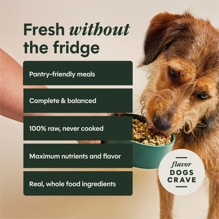 Instinct FreshDried Meal Blends Chicken & SuperGreens Blend dog  product benefits and recipe information
