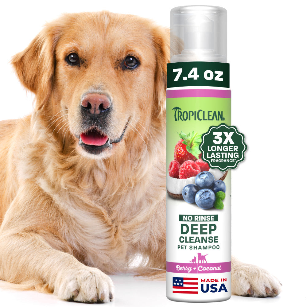 TropiClean Berry + Coconut Deep Cleanse No Rinse Pet Shampoo, 7.4oz — 7.4oz retail package