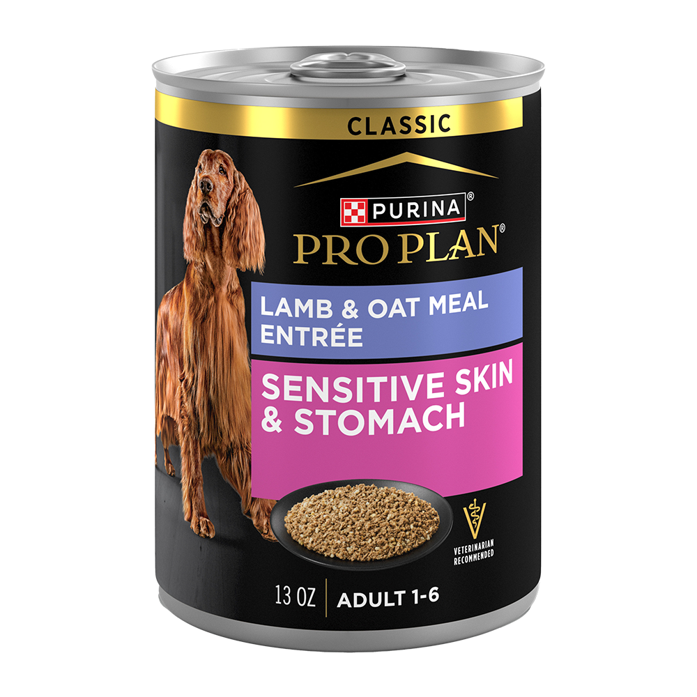 Purina Pro Plan Sensitive Skin & Stomach Lamb & Oat Meal Entrée Classic Wet Dog Food — 13 oz — case of 12