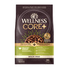 Wellness CORE+  Healthy Weight Turkey & Chicken Recipe — 18-lb bag; 18-lb bag (one bag)