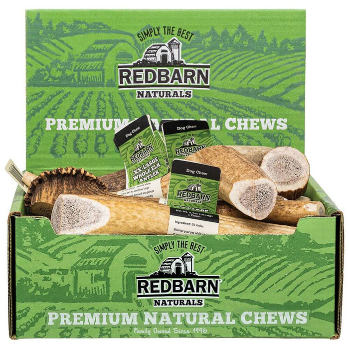 Redbarn Elk Antler — Case of 12 — XX Large Whole