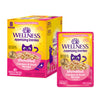 Wellness Appetizing Entrees  Shredded Chicken & Duck Recipe in Sauce — 1.4-oz, case of 24; Case of 24 × 1.4-oz containers