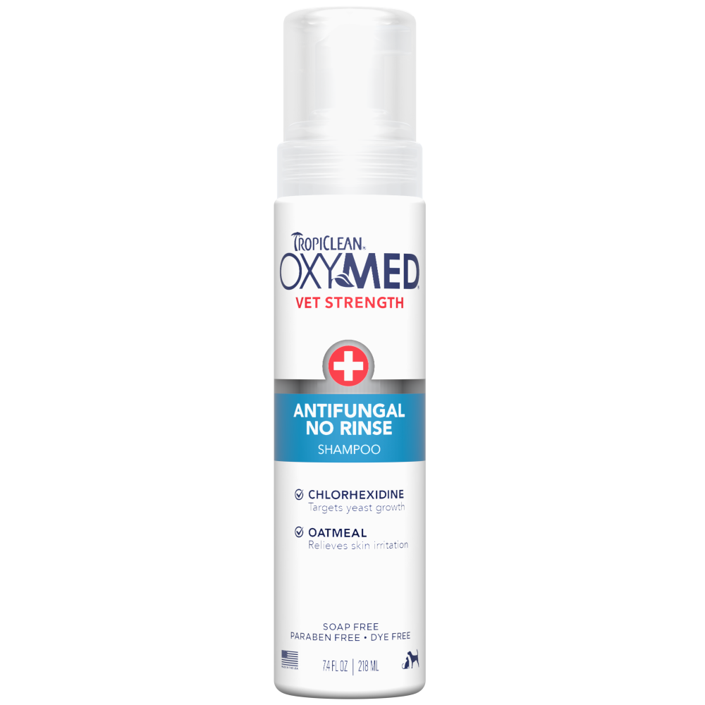 TropiClean OxyMed Antifungal No Rinse Shampoo, 7.4oz — 7.4oz retail package