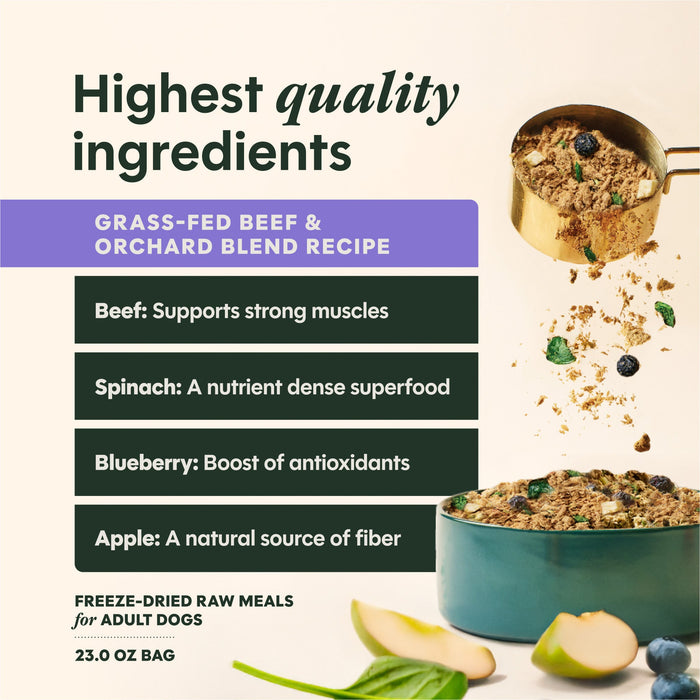 Instinct FreshDried Meal Blends Beef & Orchard Blend dog  product benefits and recipe information