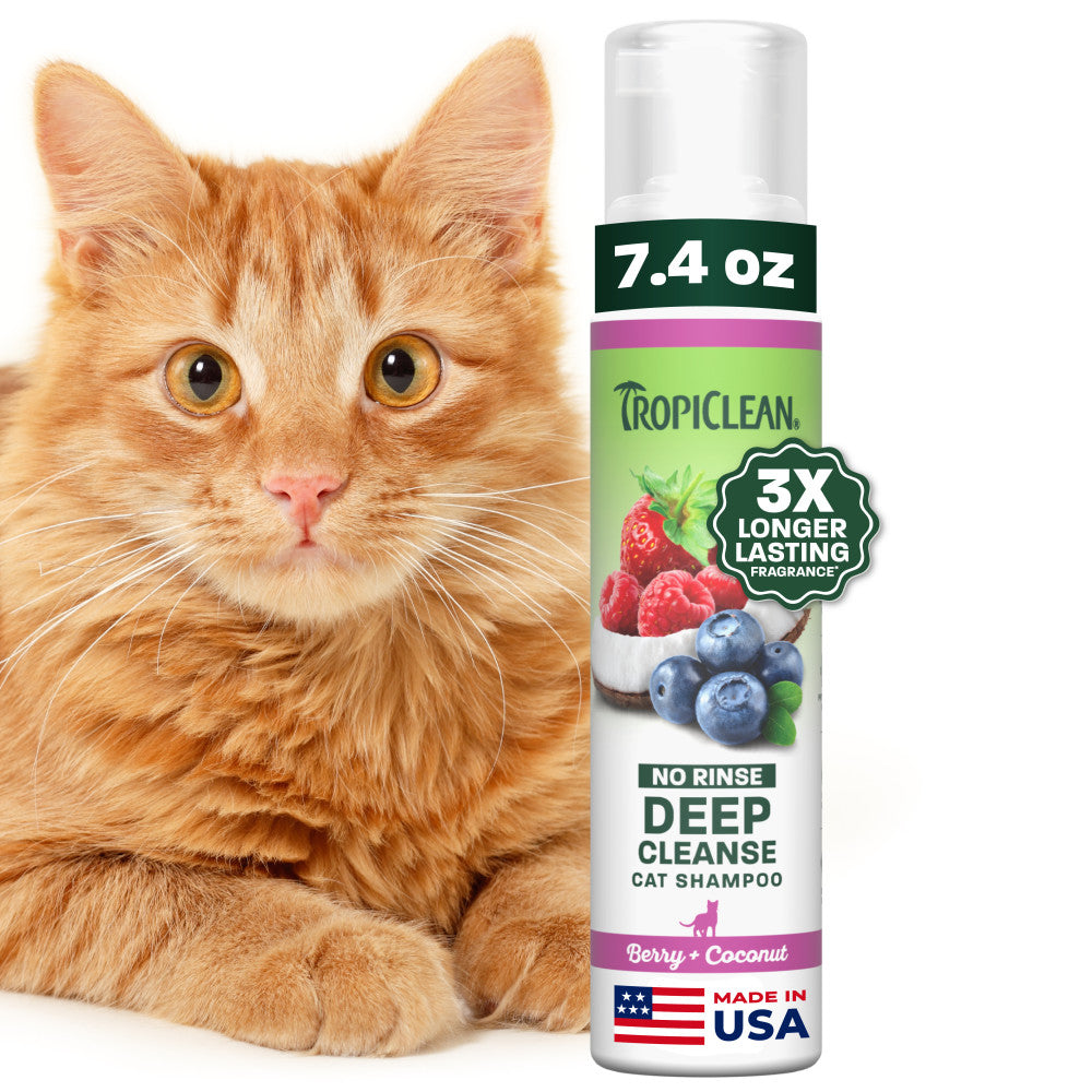 TropiClean Berry + Coconut Deep Cleanse No Rinse Cat Shampoo, 7.4oz — 7.4oz retail package