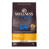 Wellness CORE  Large Breed Puppy Chicken & Turkey Recipe — 24-lb bag; 24-lb bag (one bag)