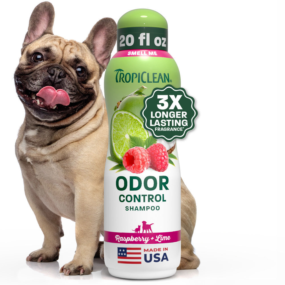 TropiClean Raspberry + Lime Odor Control Pet Shampoo, 20oz — 20oz retail package