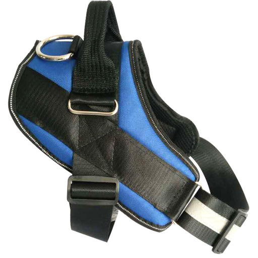Pet chest strap with dog leash