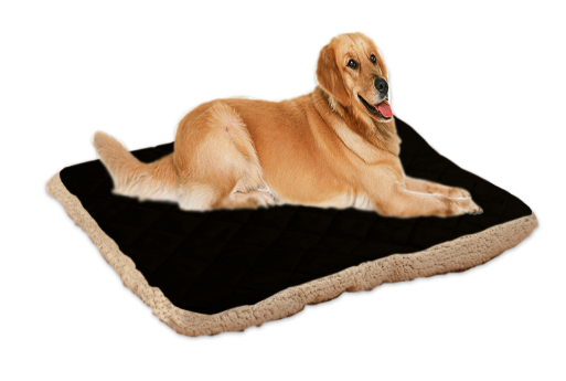 Pet ice silk cushion