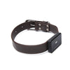 RY pet locator
