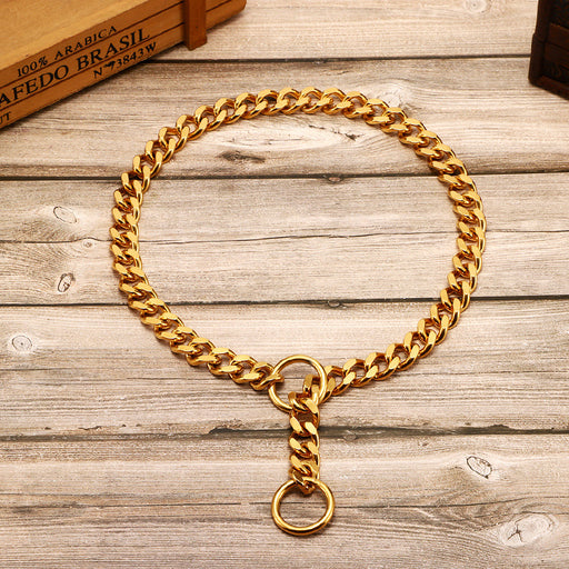 Stainless steel golden P chain p dog leash