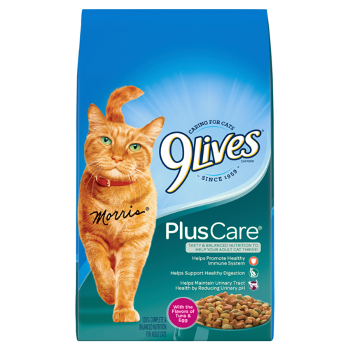 9 Lives Plus Care Formula Dry Cat Food