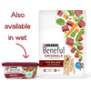 Beneful Originals with Real Beef Dry Dog Food