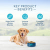Blue Buffalo Life Protection Formula Adult Fish & Brown Rice Recipe Dry Dog Food