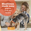 All Life Stages Chicken Meal and Rice Dog Food
