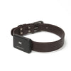 RY pet locator