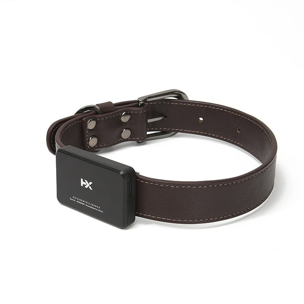 RY pet locator