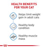 Royal Canin Feline Care Nutrition Weight Care Dry Cat Food