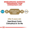 Royal Canin Breed Health Nutrition Chihuahua Adult Dry Dog Food
