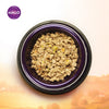 Halo Holistic Adult Lamb Stew Canned Dog Food
