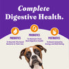 Halo Holistic Complete Digestive Health Chicken and Brown Rice Dog Food Recipe Adult Dry Dog Food