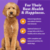 Halo Holistic Complete Digestive Health Chicken and Brown Rice Dog Food Recipe Adult Dry Dog Food