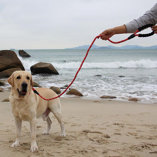 Pure Color Explosion-Proof and Retractable Pet Leash