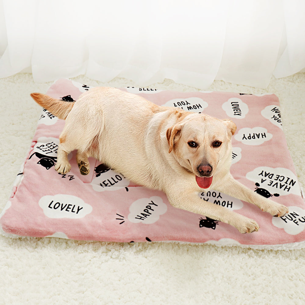 Nice best sale dog blankets