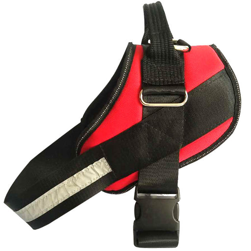 Pet chest strap with dog leash