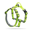 Dog leash vest type chest strap