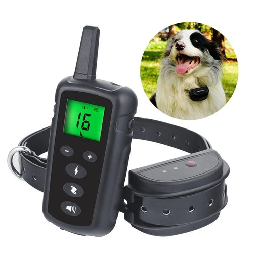 Electronic remote dog training