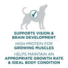 Purina ONE Large Breed Puppy Formula Dry Dog Food