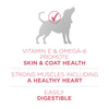 Purina ONE +Plus Skin & Coat Formula Dry Dog Food