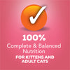 Friskies Pate Salmon Dinner Canned Cat Food