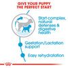 Royal Canin Small Breed Starter Babydog & Mother Dry Dog Food