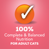 Friskies Savory Shreds Salmon in Sauce Canned Cat Food